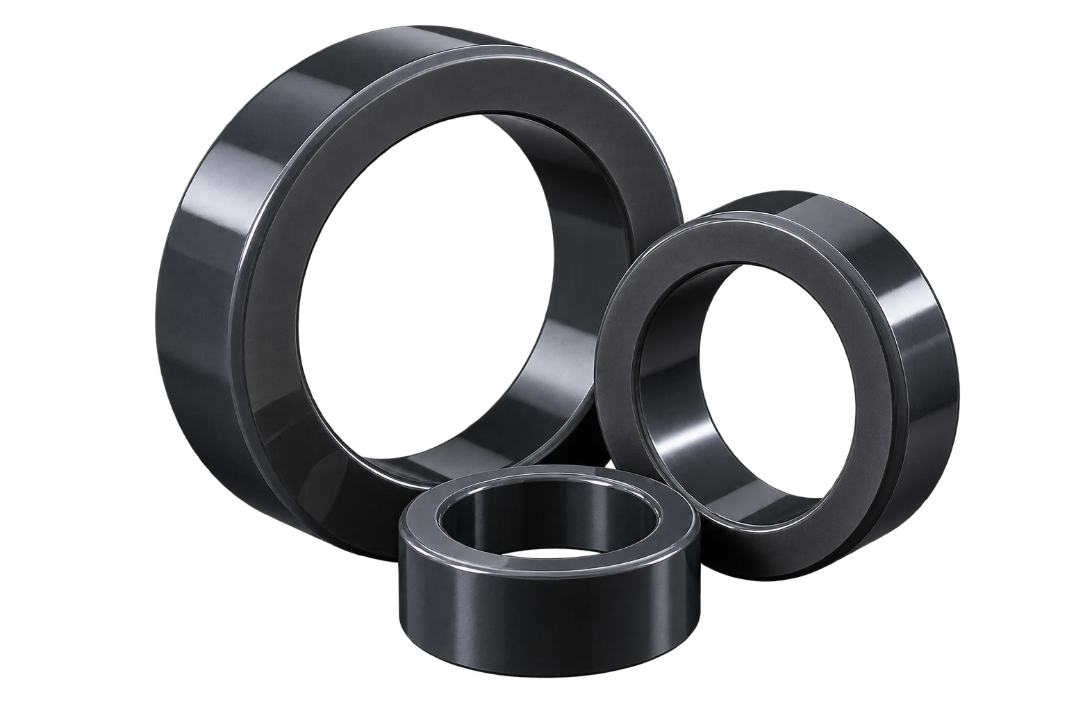 Silicon Nitride ceramic seal rings example